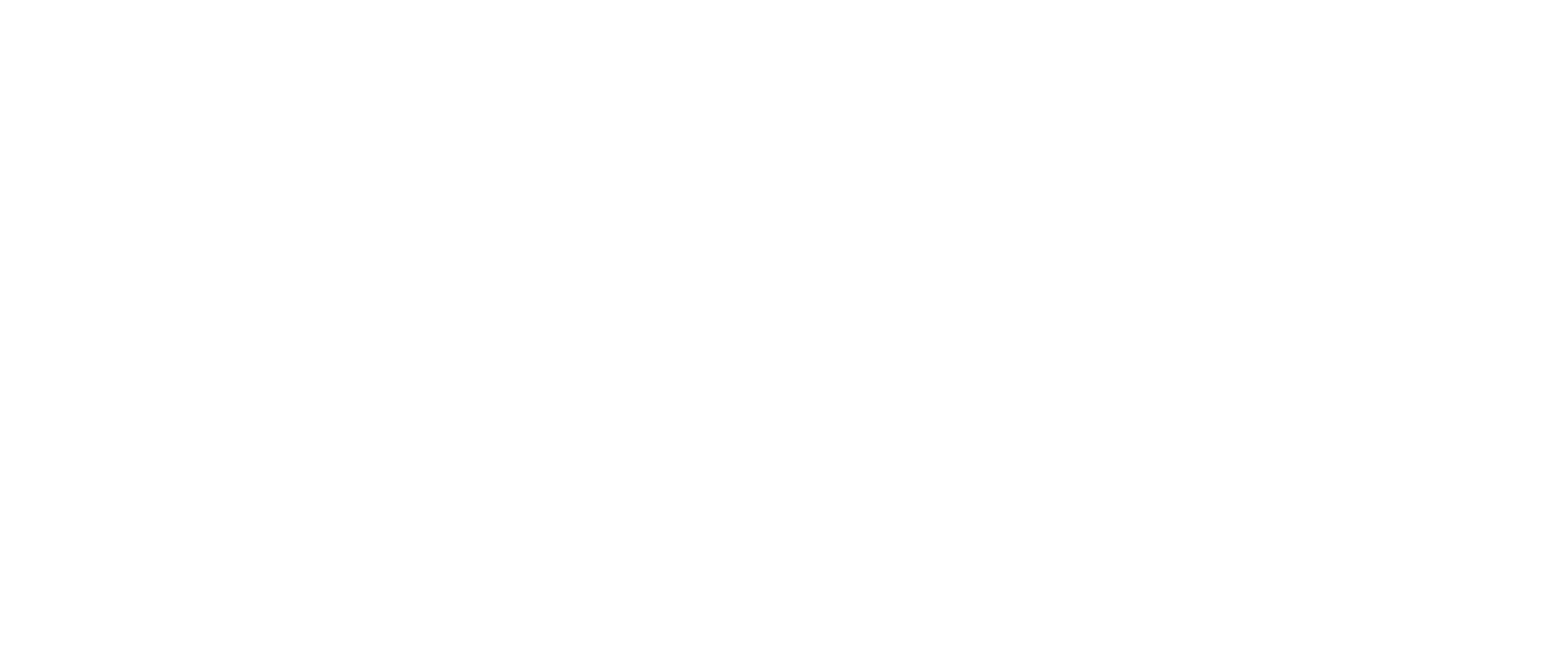 VelaFi_Logotype_White
